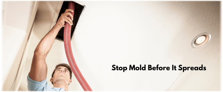 Air Duct Mold Removal in Katy