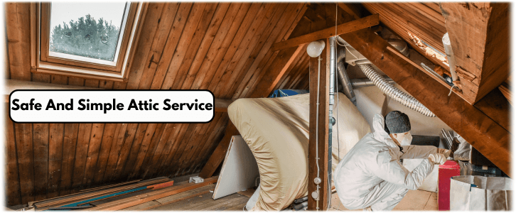 Attic Cleaning Katy